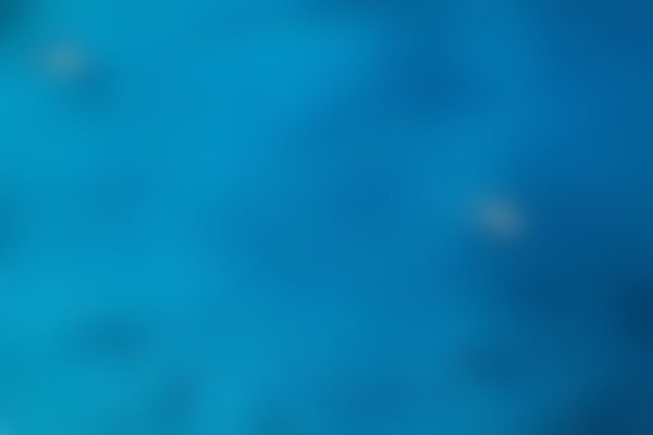 Boats on sea - top view with a lot of blue copy space