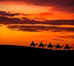 Moroccan Desert tour 8 days