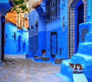 Tangier, Asilah & Chefchaouen trip